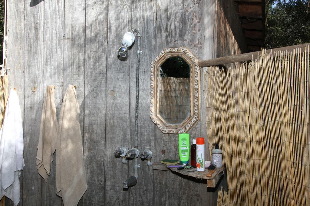Hobbit Hut 호텔 게이서빌 객실 사진